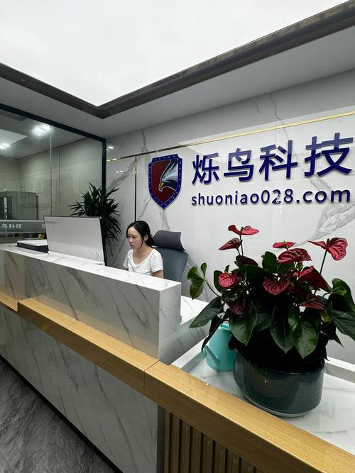 烁鸟手游科技丨深度解析 游戏工作室的背后逻辑 谷秀科技